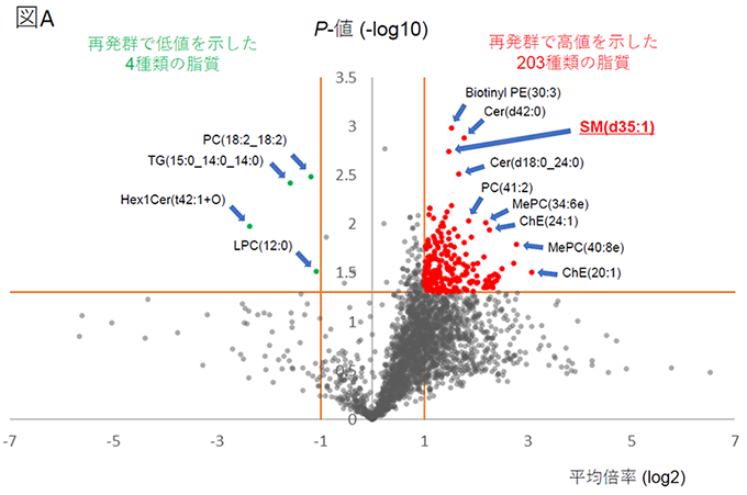 スフィンゴミエリン（d35:1）は肺腺癌根治手術後の再発を予測するバイオマーカーの候補である