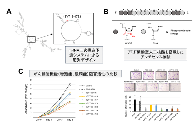 核酸医薬を用いた腹腔内治療で、難治性の胃がん腹膜播種（ふくまくはしゅ）を治療する
