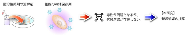 「細胞専用の非水溶媒」という概念を構築、細胞に悪影響を与えづらい難溶性薬剤の溶解剤、凍結保存剤を開発