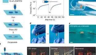 自己治癒する透明なエレクトロニックスキン (Transparent and self-healing electronic skin)