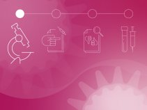 欧州委員会が、バイオエヌテック社とファイザー社が開発したCOVID-19ワクチンを承認