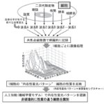 微生物の生理的状態を最短10分で定量的に評価し、識別する技術を開発