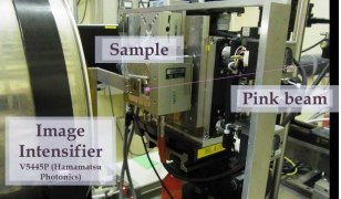 「熱」や「痛み」を感じるたんぱく質の小さい動きを高速キャッチ