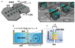 蚊の匂い受容体で呼気診断!?