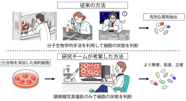 AI画像認識により細胞の老化度をスコア化、血管老化を抑制する薬剤候補同定に成功