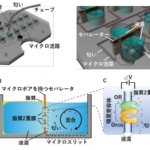 蚊の匂い受容体で呼気診断!?