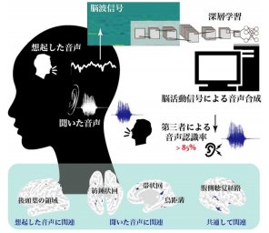 「聞こえた音、思い出した音」を脳波から音で再現する技術を開発 ～脳内の音声処理機構の理解に向けて～