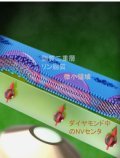 ナノスケール量子計測からリン脂質の動きを捉えることに成功 ～創薬に向けた細胞診断への応用に期待～