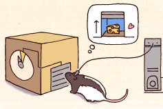 数分間の時間認知を担う脳の神経活動を発見