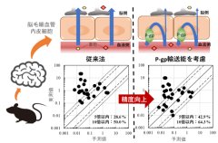 血液脳関門における薬物排出ポンプを考慮した薬物の脳移行性予測システムの開発