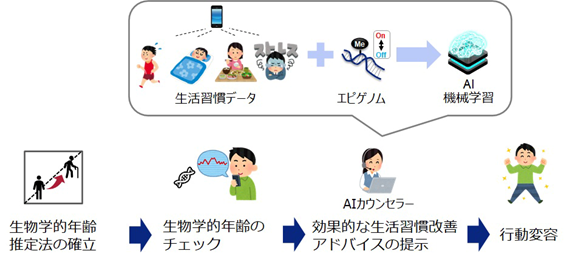 健康寿命延伸に向けて東北メディカル・メガバンク計画のビッグデータを活用した共同研究を開始