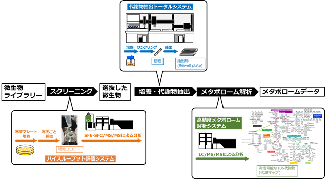 高速・高精度で細胞代謝物を解析する技術を開発～より効率的に高機能な物質を大量生産する細胞構築を実現～