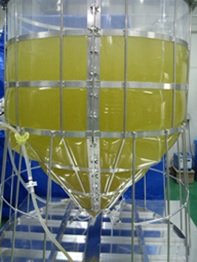 植物細胞の低コスト培養を可能にするシングルユースバッグを開発