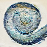 うずまき管の伸⻑を司る分子活性と細胞群の波を発見～綱引きによる細胞群の流れと臓器の成長～