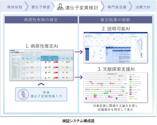富士通株式会社と共同で、AIの推定根拠を説明できる遺伝子変異の病原性推定の検証システムを開発しました。