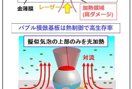 バブルを模倣した基板で乳酸菌を生きたまま大面積捕集できる原理を世界で初めて発見