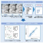 世界初 未来のシワを予測する数理モデルを開発