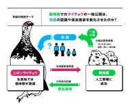 動物園の普及啓発効果を多角的に実証: 絶滅危惧種ライチョウの一般公開は市民の知識や保全意欲を高めていた