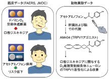 ジスキネジア新治療法の発見～副作用を減らす併用薬から新しい創薬標的へ～