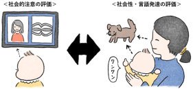 早産の赤ちゃんの社会性発達に関わるリスクマーカーを発見