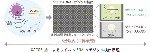 新型コロナウイルスの超高感度・世界最速検出技術を開発