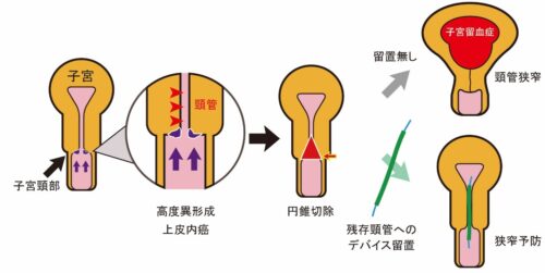 薬師丸 ひろ子 エッセンシャル ベスト