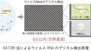 新型コロナウイルスの超高感度・世界最速検出技術を開発