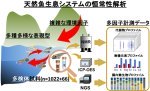 天然魚類と環境水・底泥のエコインフォマティクス 天然魚類と環境水・底泥のエコインフォマティクス