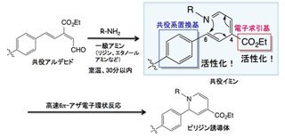 理研クリック試薬の誕生～生物学的製剤による医療診断に有効な標識・複合化試薬を開発～