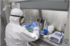 国循と島津製作所が共同で東アジア特有の脳血管障害リスク遺伝子の迅速評価システムを世界で初めて確立