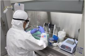 国循と島津製作所が共同で東アジア特有の脳血管障害リスク遺伝子の迅速評価システムを世界で初めて確立