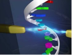 マイクロRNAにおける2種類の化学修飾の直接同時検出に成功