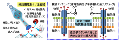 細胞用電動ナノ注射器「電気浸透流ナノポンプ」を開発 ～細胞治療に向けた新たな細胞内物質導入機器～