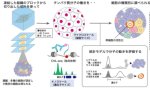 組織の細胞集団に潜む幹細胞のエピゲノム解析手法を開発 ～がん組織の精密プロファイリングに成功～