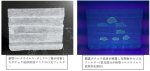 ダチョウ抗体を担持させた不織布マスクで 新型コロナウイルスオミクロン株の可視化も確認