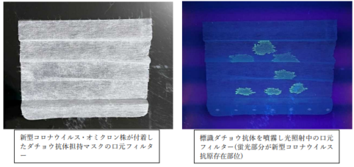 ダチョウ抗体を担持させた不織布マスクで 新型コロナウイルスオミクロン株の可視化も確認