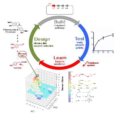 人工知能による酵素の発見:代謝のミッシングリンクを解読して医薬品を製造する