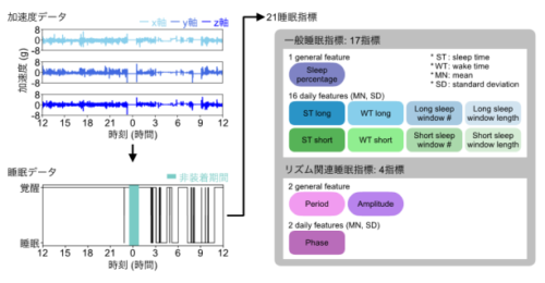 大規模な睡眠解析から成人の睡眠パターンを16に分類 ～睡眠健診や睡眠医療への応用に期待～