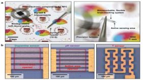 生分解性インプラントにより、医師が脳の化学状態をモニターできるようになるかもしれない(Biodegradable implant could help doctors monitor brain chemistry)