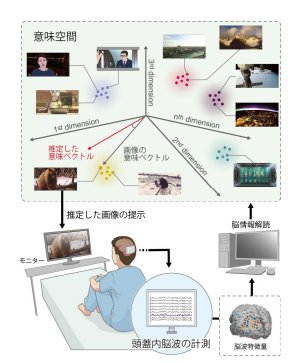 脳で想像したものと「同じ意味」の画像を表示 ～頭蓋内脳波を使い想像によって画像を制御する新技術～