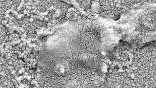 抗生物質耐性菌の薬剤を無効化する新手法を開発(New Method Can Disarm Antibiotic Resistance in Deadly Bacteria)