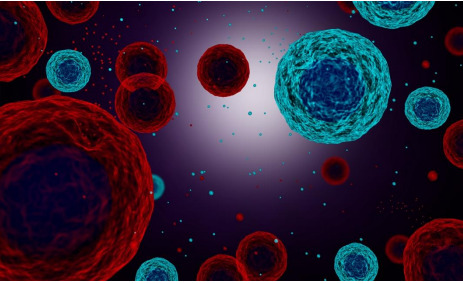 尿中エクソソームを用いて膀胱がんを診断する新たな検査法を確立 ~患者負担の少ない、膀胱がんの早期診断が可能に~ 尿中エクソソームを用いて膀胱がんを診断する新たな検査法を確立 ~患者負担の少ない、膀胱がんの早期診断が可能に~