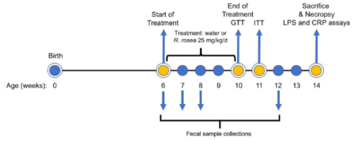 UCI主導の研究で、ロディオラ・ロゼアの根が2型糖尿病の管理に有効である可能性が示される(UCI-led study shows Rhodiola rosea root might be beneficial for managing type 2 diabetes) UCI主導の研究で、ロディオラ・ロゼアの根が2型糖尿病の管理に有効である可能性が示される(UCI-led study shows Rhodiola rosea root might be beneficial for managing type 2 diabetes)