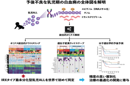 乳児期発症急性リンパ性白血病を5群に分類できることを解明～分子診断法の高精度化と治療の最適化への貢献を期待～