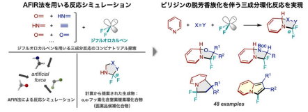 インシリコスクリーニングを駆使した化学反応の新しい開発戦略 ～新規3成分反応によるフッ素化含窒素複素環骨格の合成に成功～