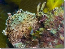 長期的な記憶は、繰り返しだけでなく、順序の問題である(Long-Term Memories a Matter of Order&mdash;Not Just Repetition)