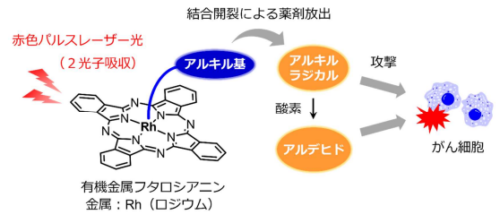光がん治療法の新原理を提案 ～必要に応じて薬剤を供給するドラッグデリバリーシステムへの発展に期待～