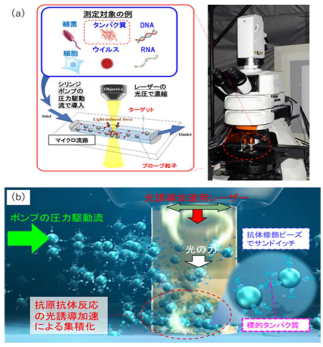 光の力で抗原抗体反応を加速 2京分の1グラムの微量たんぱく質を3分で検出成功