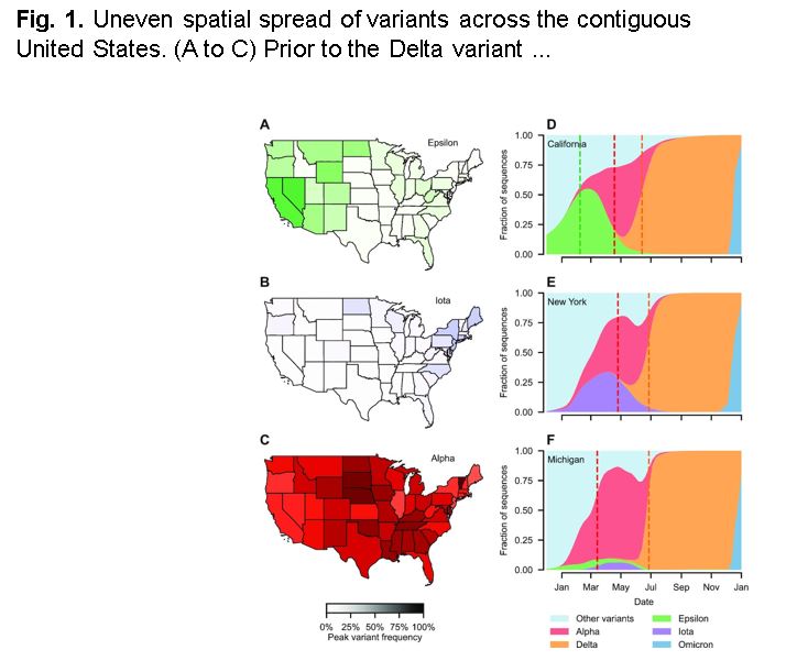 遺伝子配列の解読により、将来のCOVID-19の変異体が含まれる可能性がある。(Genetic sequencing could contain future COVID-19 variants)