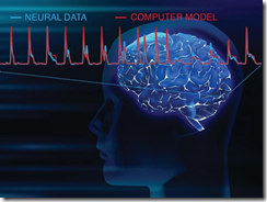 ヒトの脳の珍しい電気記録から神経活動の詳細がわかる(Rare Electrical Recordings of the Human Brain Give Detailed Picture of Neural Activity)